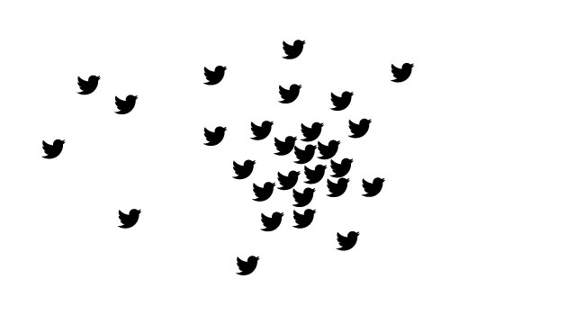 Black_Twitter Birds